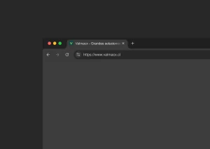 Favicon valmacx