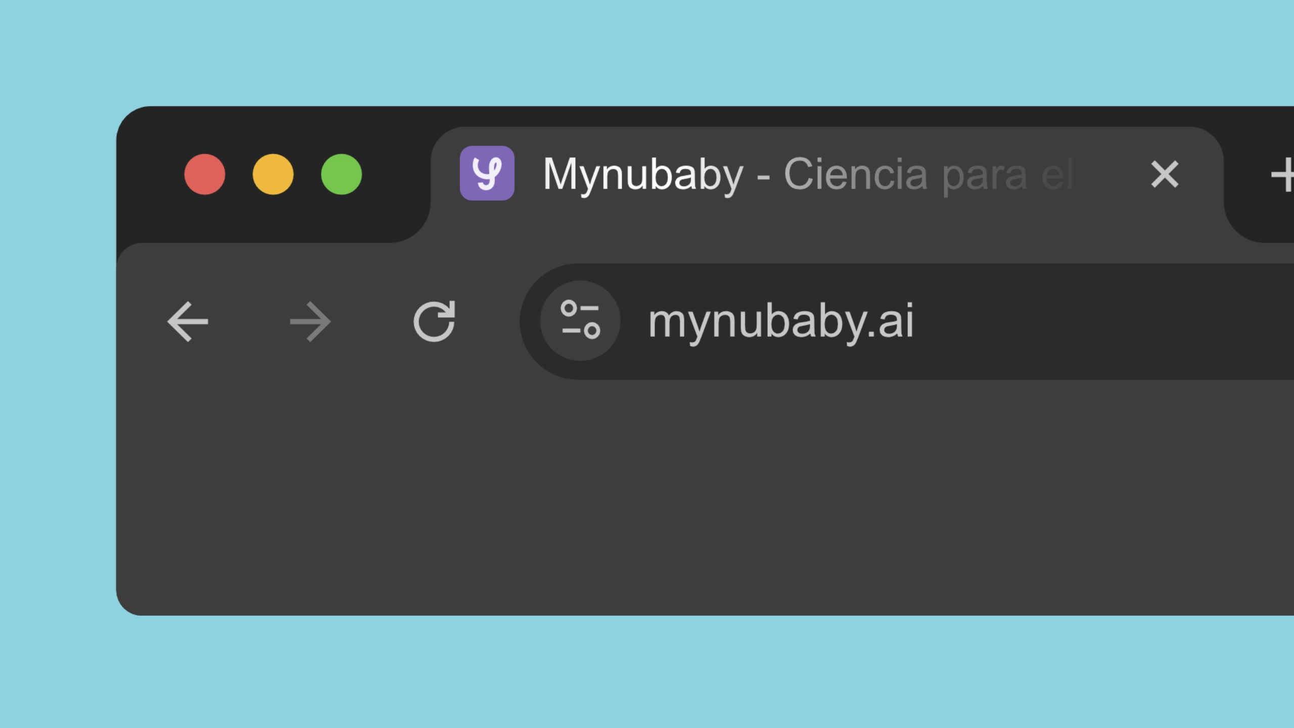 favicon mynubaby web